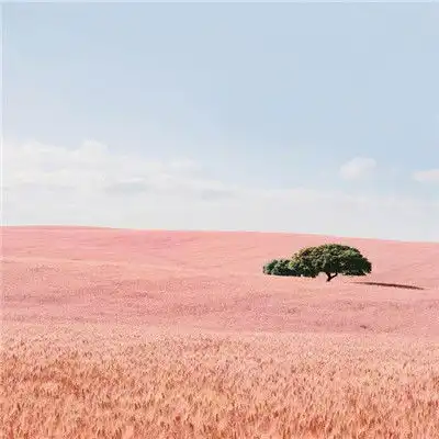 治愈系头像风景唯美自在