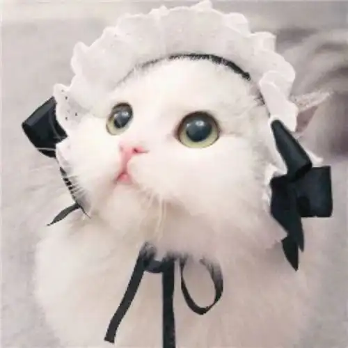 快看这些老旧小区将进行综合改造,有你家吗