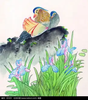 两只鸳鸯图片免费下载编号81929红动网