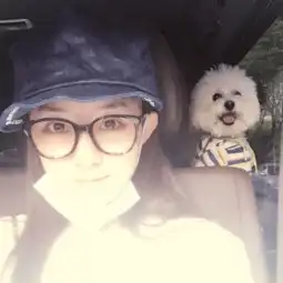 女星戴眼镜谁好看刘诗诗知性宋茜时尚赵丽颖可爱