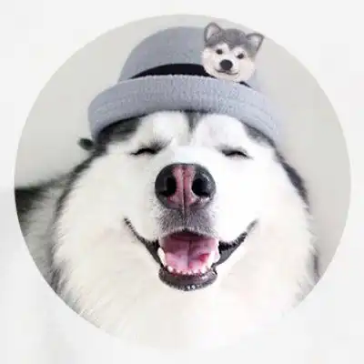 哈士奇可爱头像卡通萌航