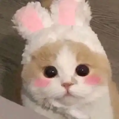 夏天有着迟暮的霞光正如晚来的微信头像我要个性网