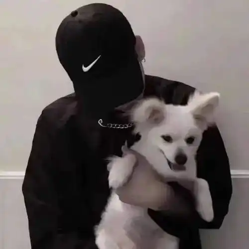 精选头像合集