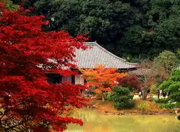 京都寻找记忆中的一休哥