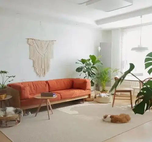 韩国女主的治愈系家居日常,全屋精致有序,一个人住久了会上瘾