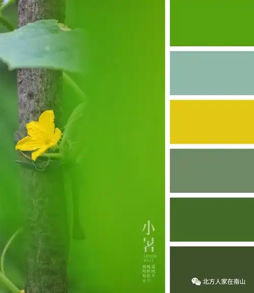 草木绿,冬日灰调里的治愈系