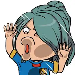 系列第四弹之闪电十一人