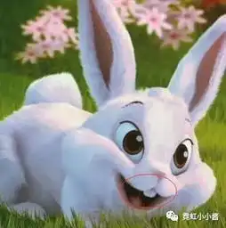 猫系狐系,还是鹿系快来测下你和哪种动物长的像