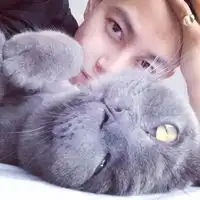 侧面男生抱猫头像背影图片大全微信头像图片大全