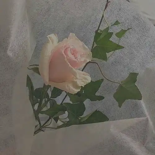 治愈系头像什么意思文案