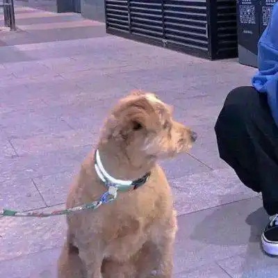 恋爱恐惧症的特征,是你吗