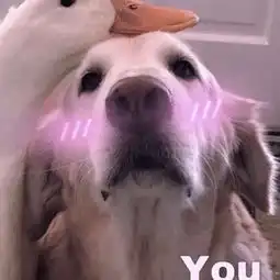 男友打王者时,还回你这3消息恭喜他已将你放心尖