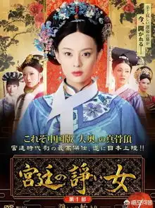 中国的电视剧在日本播出的时候都叫什么名字