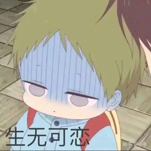 可以说说你们保研的经历吗