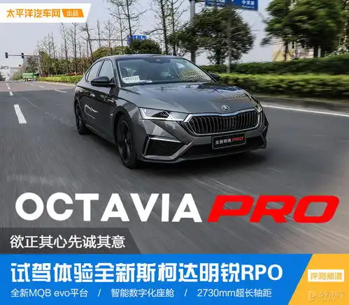 欲正其心先诚其意试驾全新斯柯达明锐pro