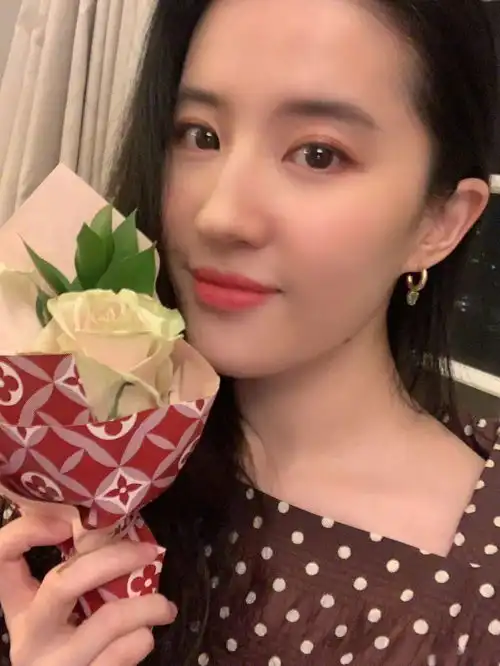 粉色酷女孩刘亦菲和连衣裙毛晓彤,两人的气质有没有折服你呢