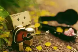 治愈系小清新亚马逊小盒子的幸福生活