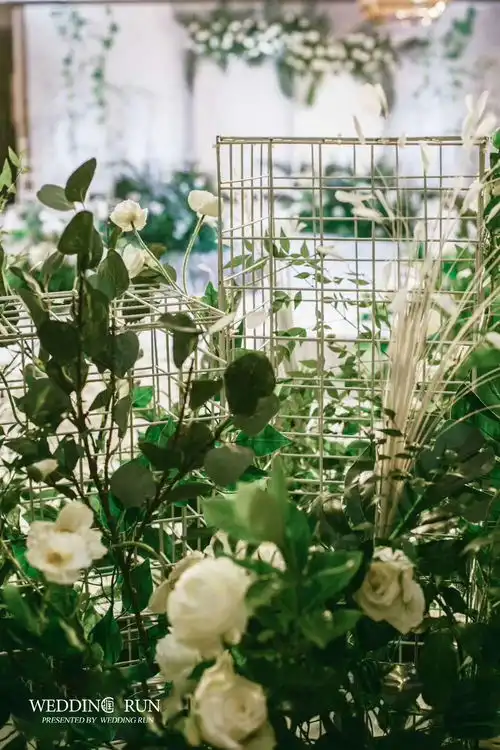 搜狐文化搜狐网