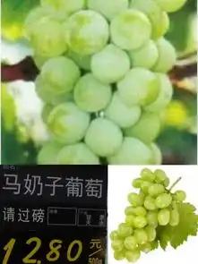 润秋
