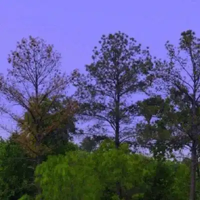 男人专用微信头像山水