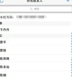 苹果7plus来电全屏头像