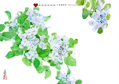 花卉水彩手绘插画水彩教程卡通插画治愈系头像壁纸春天