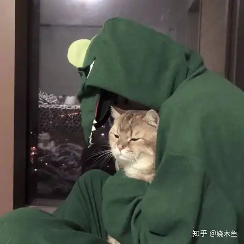 有没有男生抱猫的头像呀