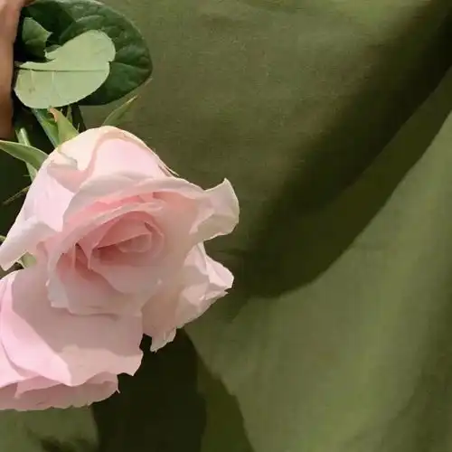 黎明能治愈所有的疼痛绿色系背景图