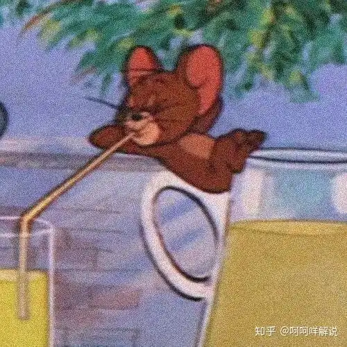 怎么理解猫和老鼠中tom和jerry之间的关系