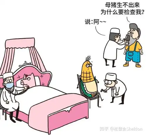 漫画美国母猪为什么假装怀孕破解转基因食品的四大谣言