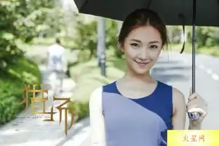 星热点猎场第一女主角是谁罗伊人扮演者菅纫姿个人背景资料介绍