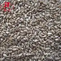 油葵仁价格型号图片