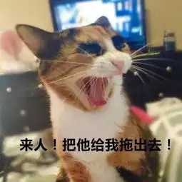 ins上有只天生凶巴巴的喵,连笑都显得如此诡异
