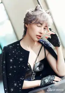 董琦最新时尚大片变身猫系美少女可萌可魅