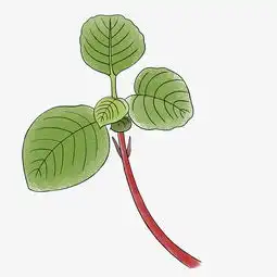 手绘植物水彩树枝绿色叶子图片素材其他格式下载动漫人物大全