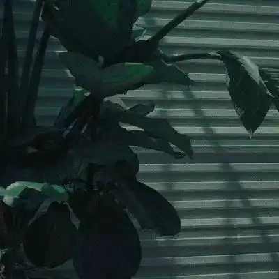 竹沥绿色系背景图你要做个可爱风景静物头像我要个性网