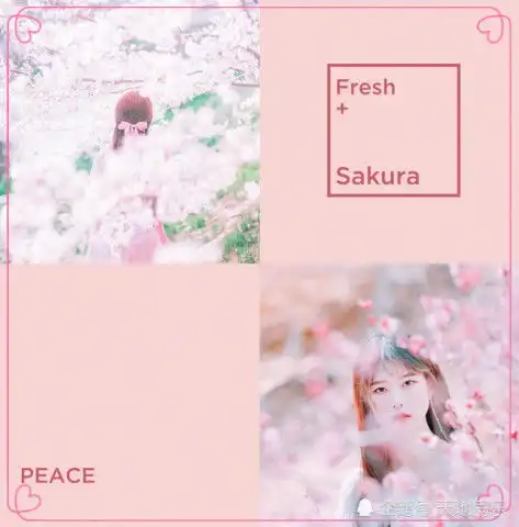 色彩系四宫格拍照火了,诗情画意美似仙,直男花美人更美