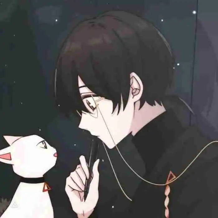 这是什么动漫啊求