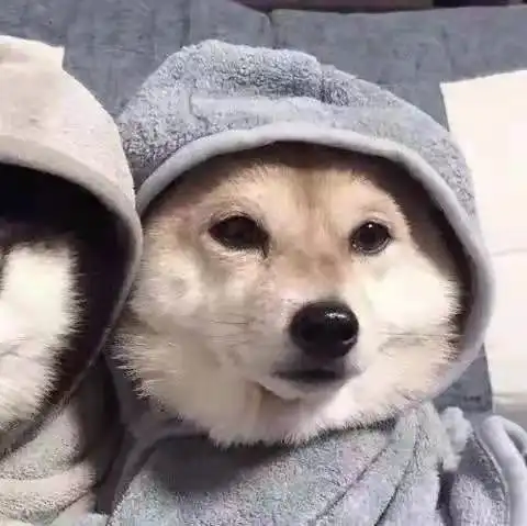 那就在一起,晨昏与四季动物情侣头像