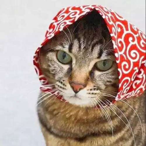 情侣头像萌娃系头像图片