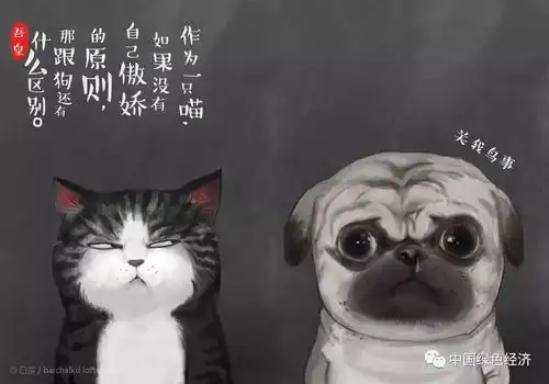 贱人都是被你的好给惯坏的