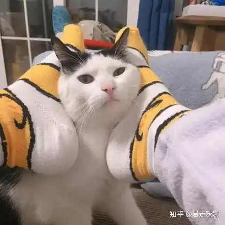 分享一波压箱底的女生头像哦