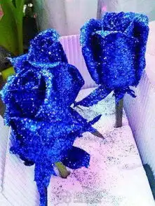 干花干花干花永生花可以存放很长时间的干花马上就到