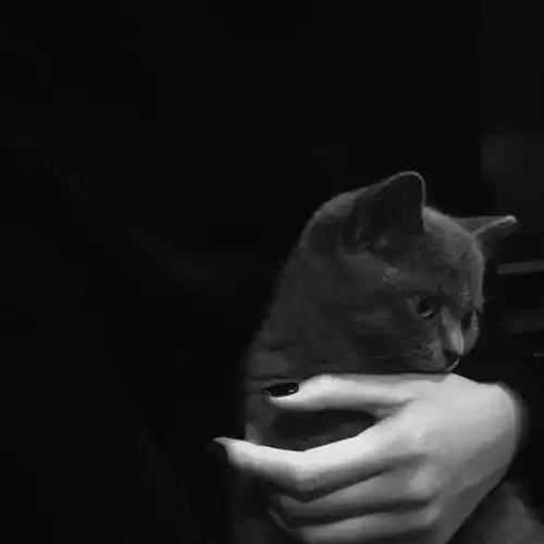 丧系女生头像我还没来得及炫耀你,你就已经不是我的