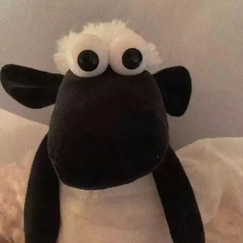 最后一个暑假还是在家吵架了