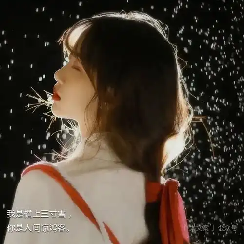 冬日文案适合下雪天发朋友圈的浪漫句子