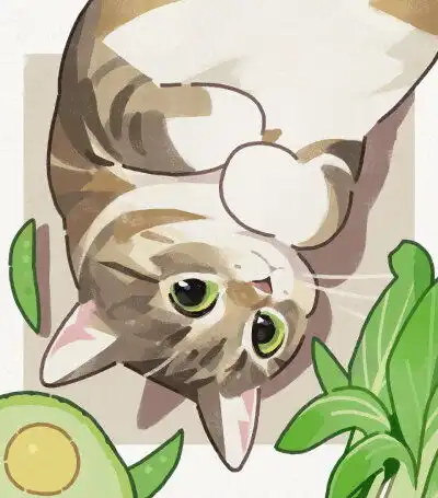 二次元猫系头像头像