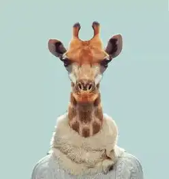 2018微信头像,总有一款是你的菜