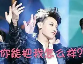 民族英雄黄子韬,上阵只用表情包