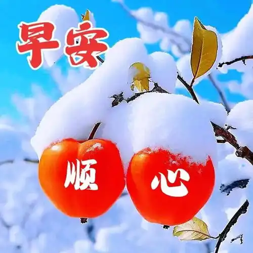 11月15日最新美丽祝福图片,晨间问候送上温馨祝愿